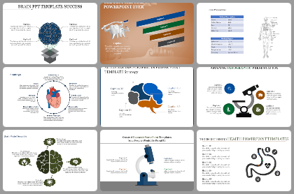 Medical Powerpoint Template from www.slideegg.com