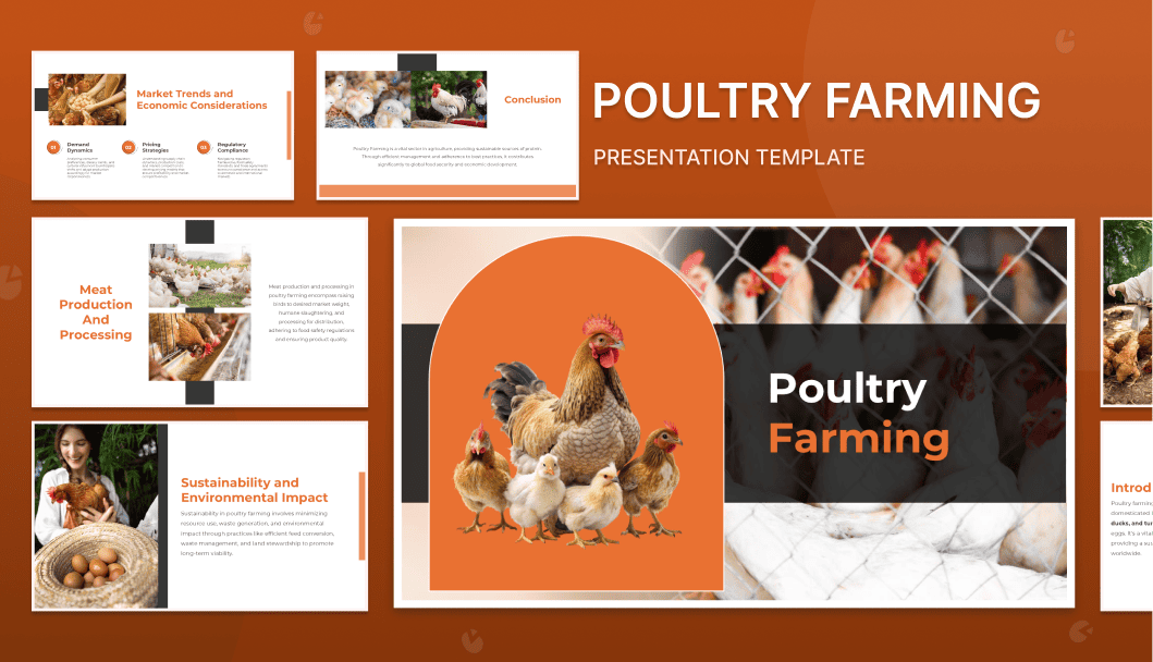 159-slideegg300857-poultry-farming