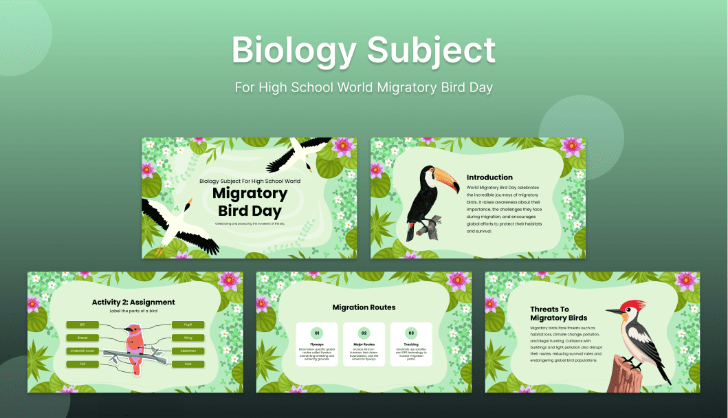 557-biology-subject-for-high-school-world-migratory-bird-day
