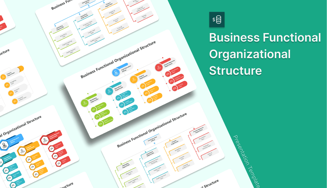 560-slideegg502025-business-functional-organizational-structure