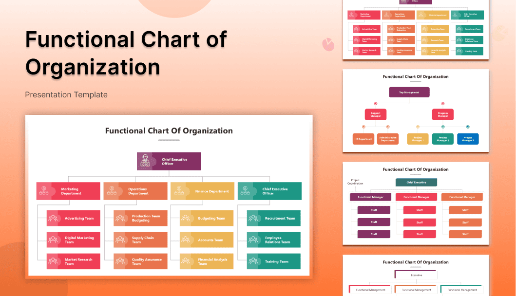 560-slideegg502027-functional-chart-of-organization