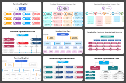 Functional Organizational Structure