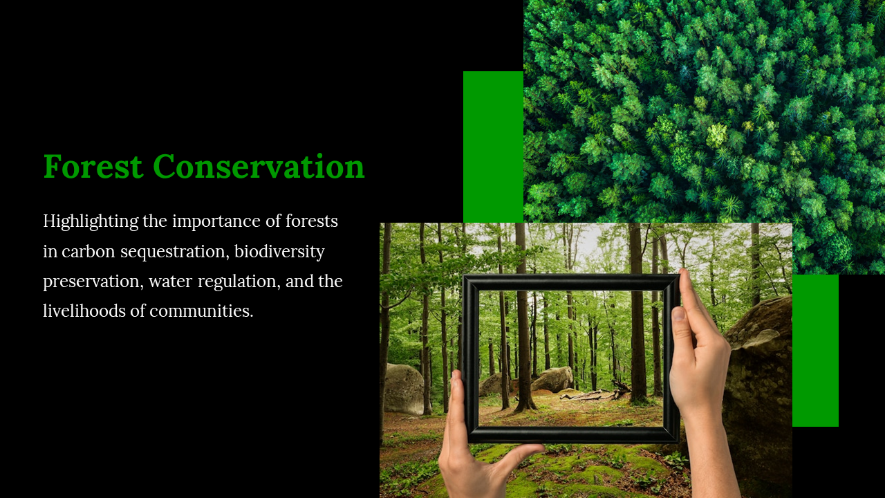 Split layout with a black green theme, featuring two forest images of aerial view and another with a framed perspective.