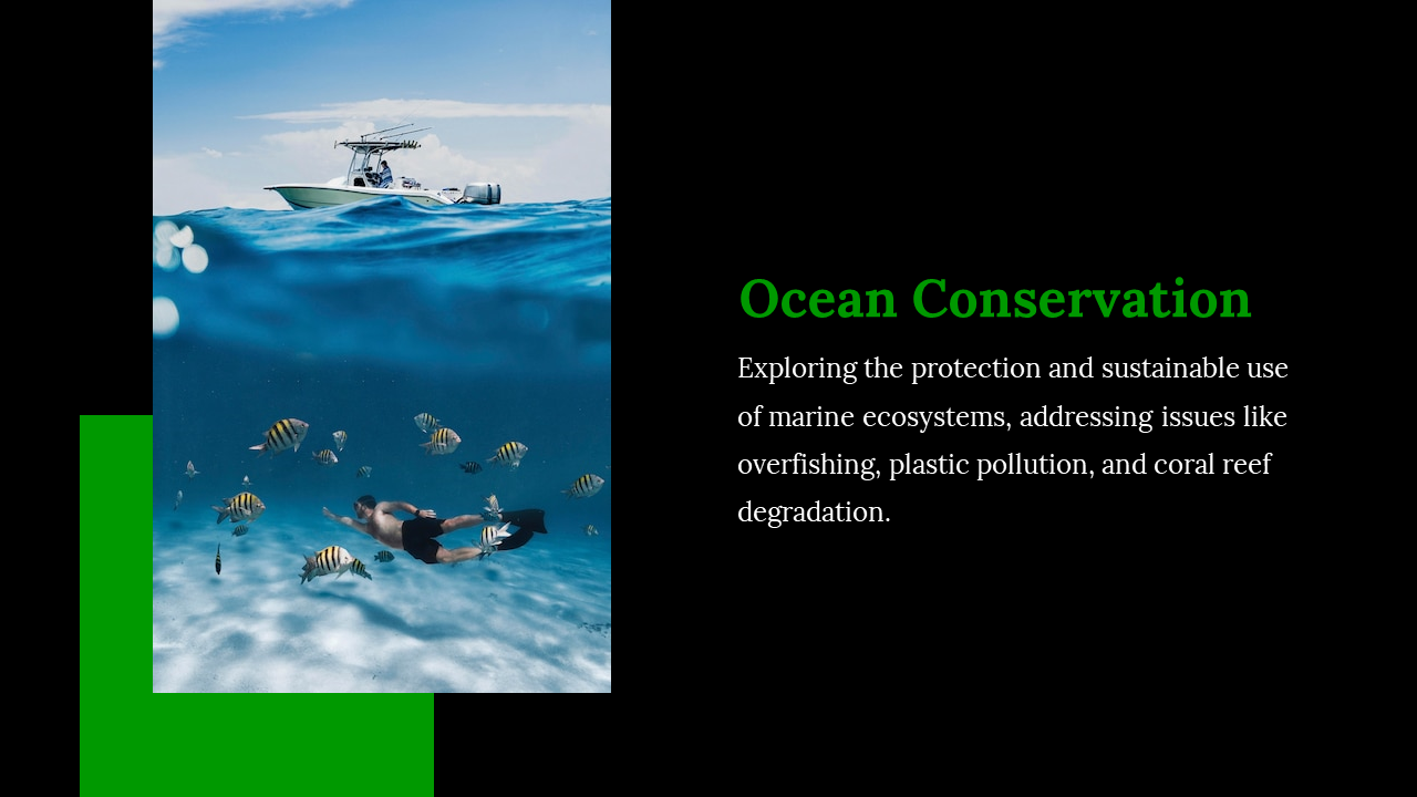 Split layout with a black background, green title, and an ocean conservation image showing a snorkeler, fish, and a boat.