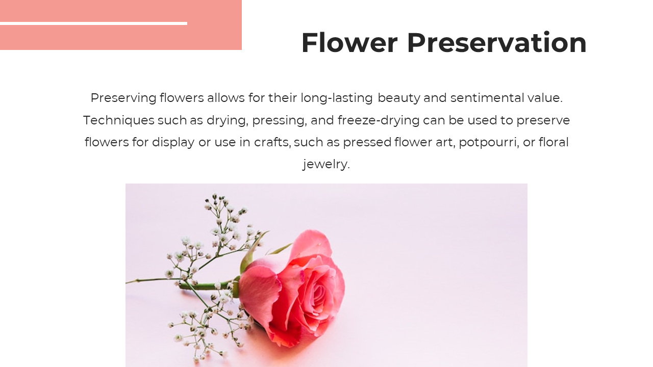 Floral themed slide with a pink header, bold title, and a delicate pink rose with white baby breath on a soft backdrop.