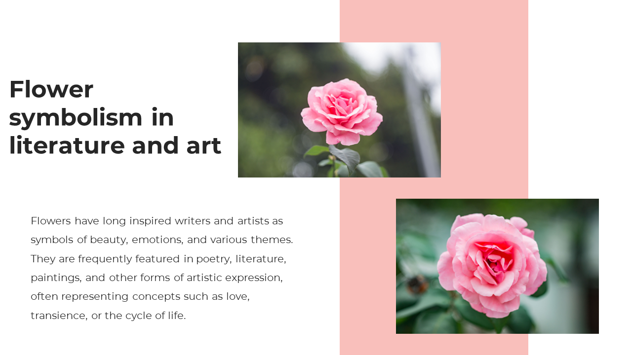 Floral themed slide with two pink rose images on a pastel background, aligned with bold black text on the left.
