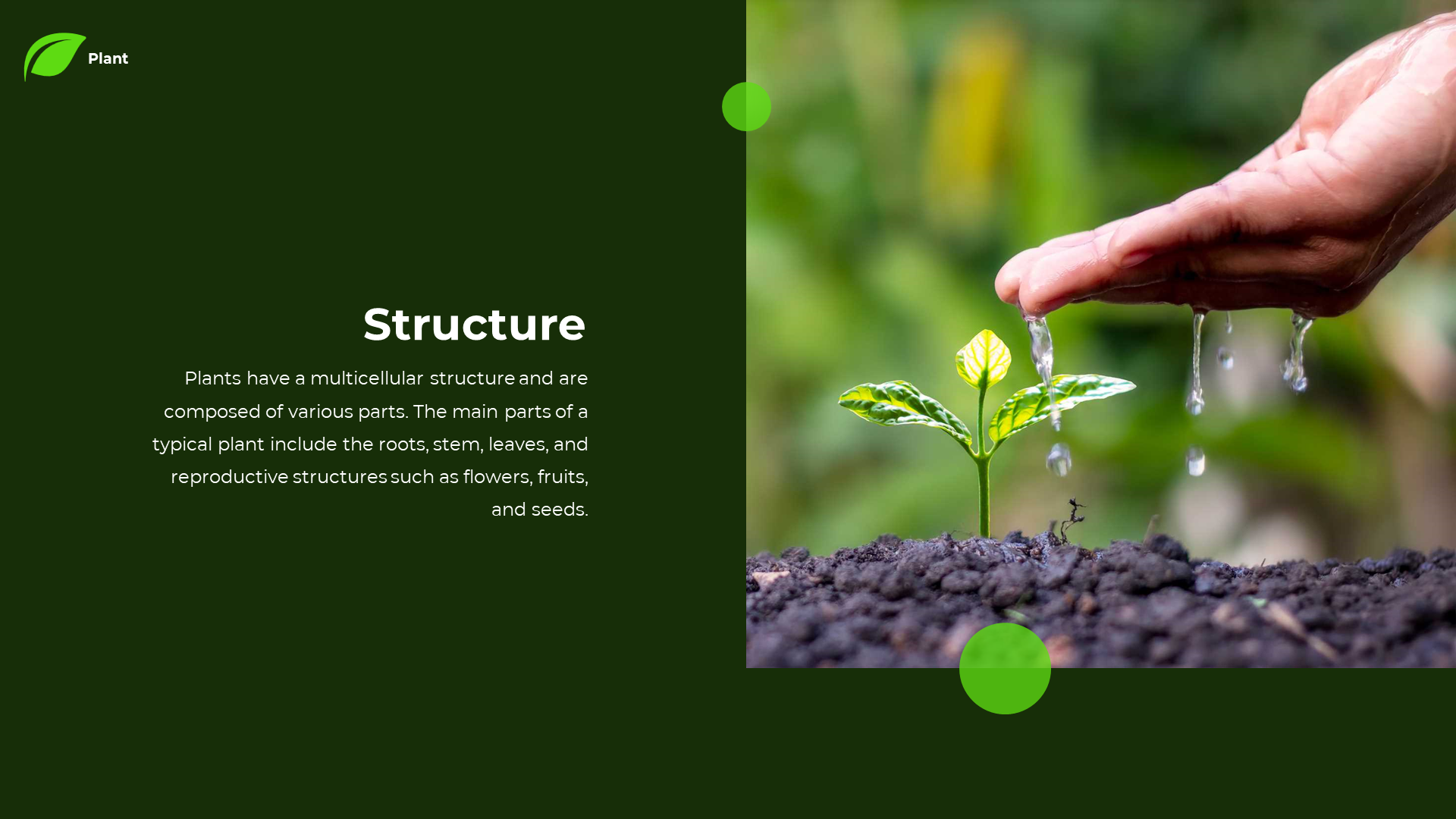 Slide with a dark green background, featuring an image of a small plant being watered by a hand, with a text box.