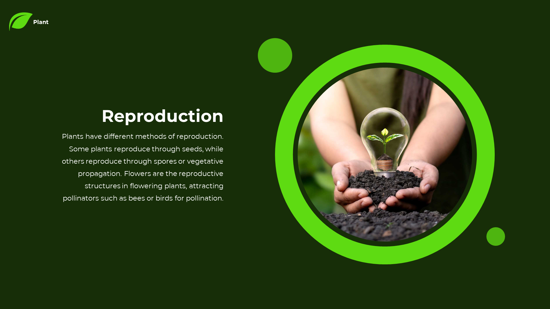Slide with a bright green circular frame around an image of hands holding soil and a lightbulb with a sprouting plant.