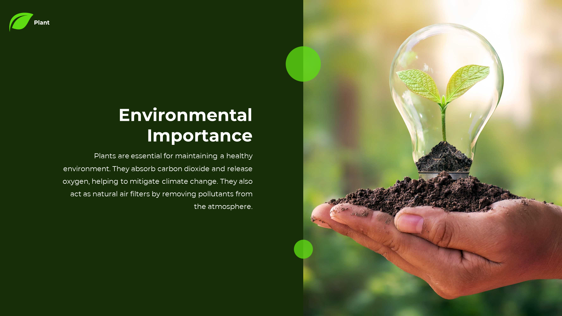 Split layout with a dark green left side containing white text, and an image of a hand holding soil with a lightbulb sprout.