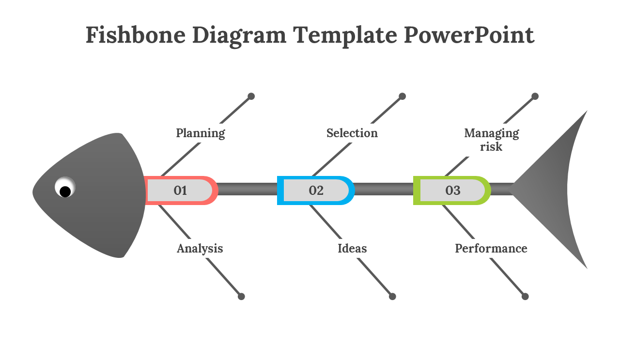 Fishbone diagram with a gray fish head, and numbered labels in red, blue, and green representing different stages.