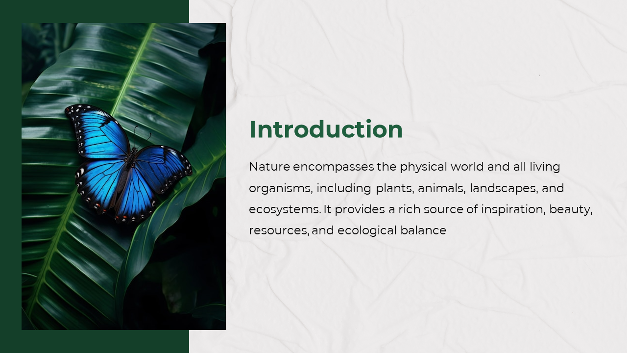 Close up of a blue butterfly perched on green leaves, with a sidebar and white text area explaining nature.