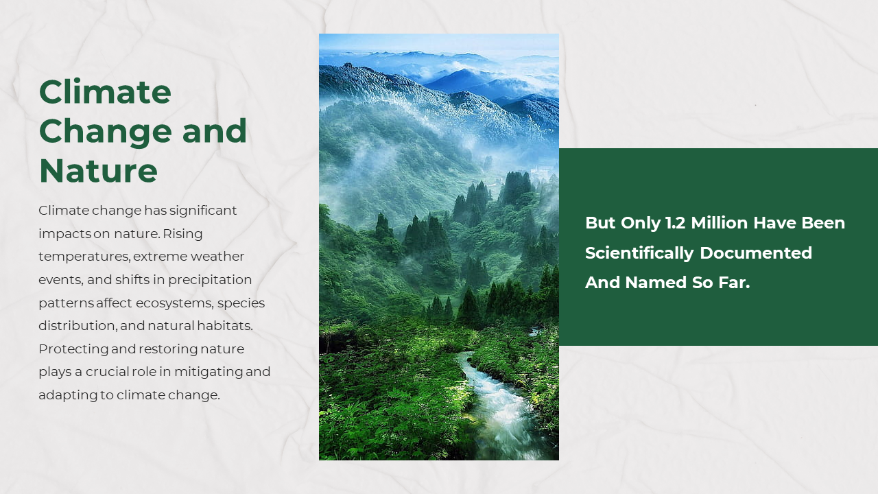Misty green landscape with a river flowing through the forest, with a green panel on the right and descriptive text.
