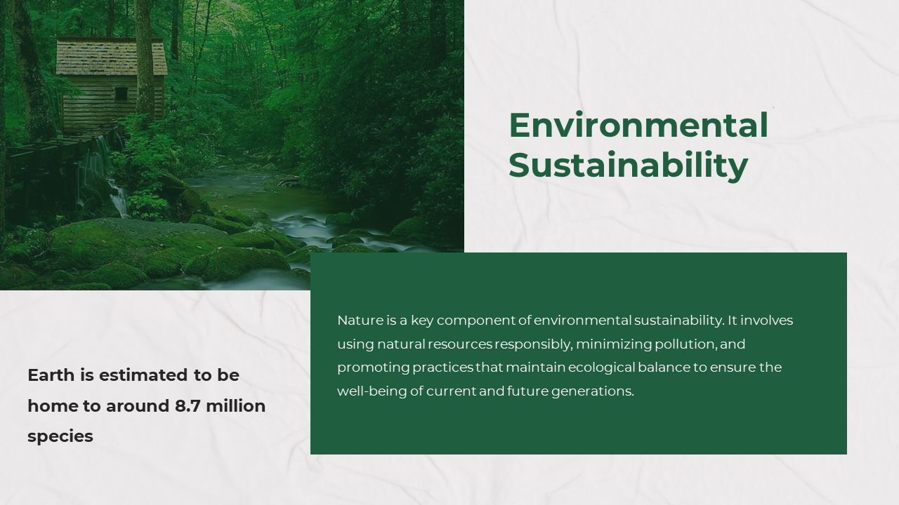 Peaceful green forest scene with a small cabin by a stream, with a green panel and text on a white backdrop.