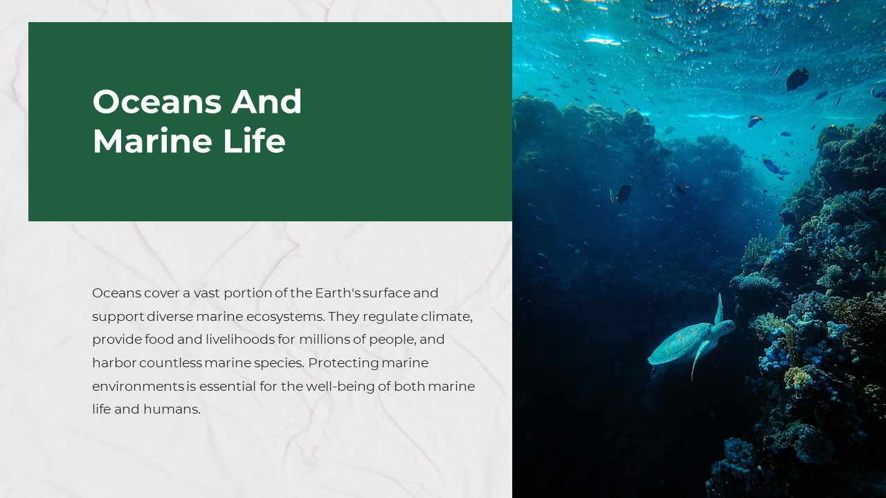 Underwater scene with a turtle swimming, paired with a green panel for the title and white text area on the left.
