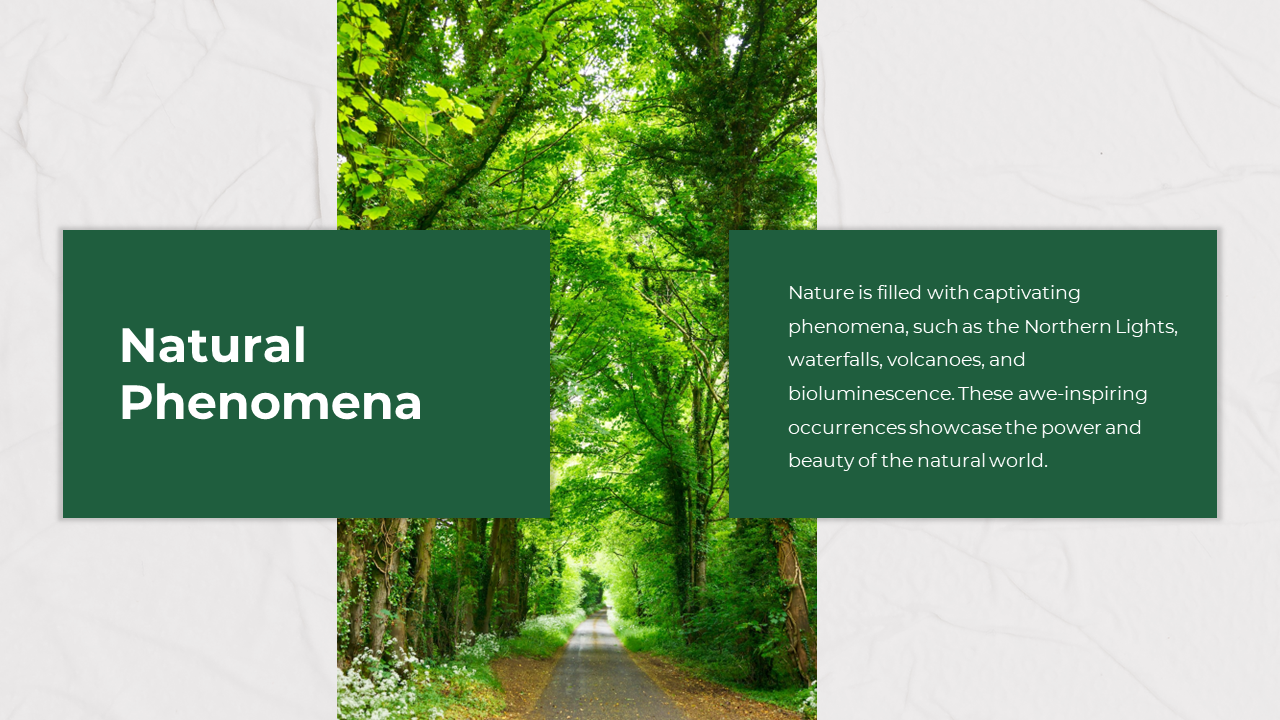 Scenic tree lined road image at the center with a green sidebar for the title, on a white background.