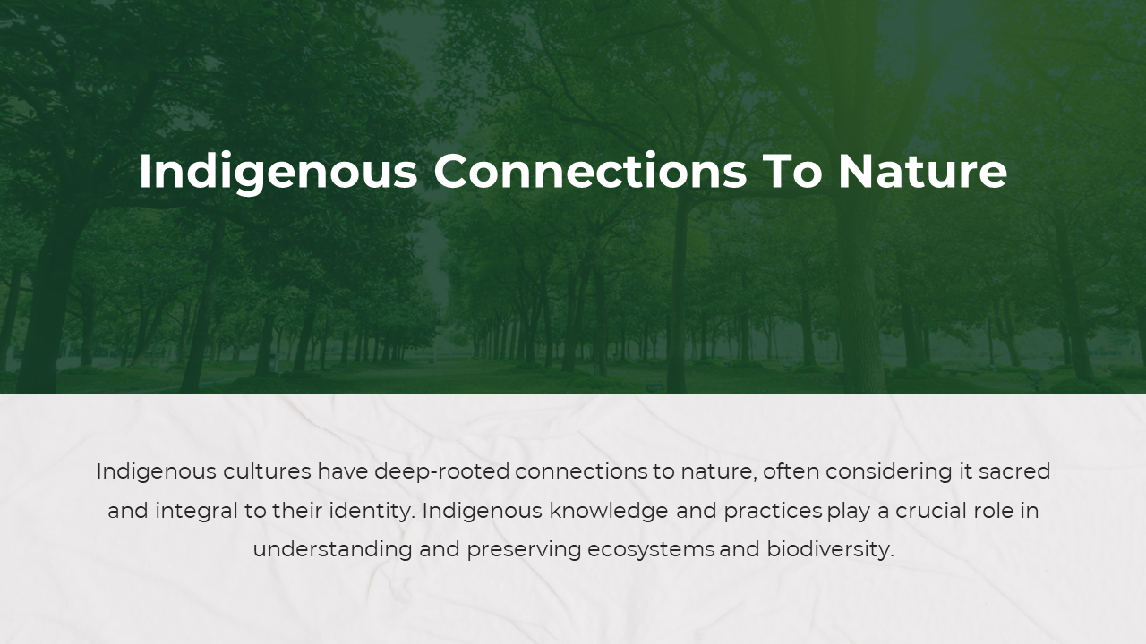 Lush tree lined path with a green background, featuring the title, and a white section with text at the bottom.