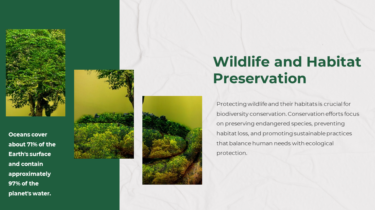 Three vertical images of trees and foliage, with a green sidebar and white text section on the right.