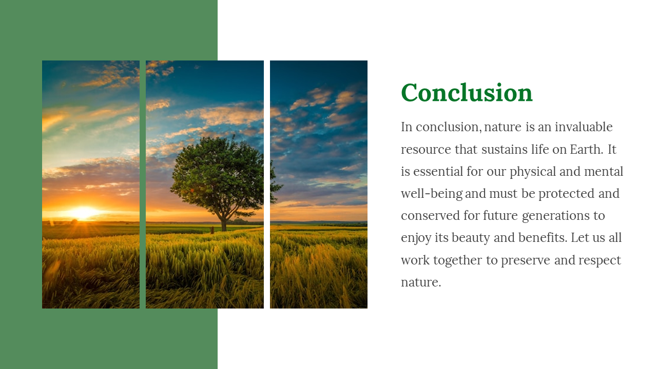reen and white slide featuring a landscape photo split into three panels with a conclusion text on the right.