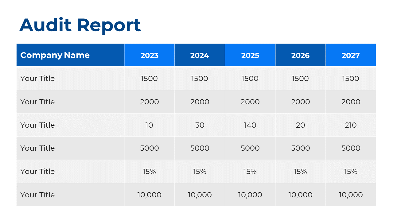 Audit report showing company data for the years 2023 to 2027, with values in rows for each title on a white backdrop.