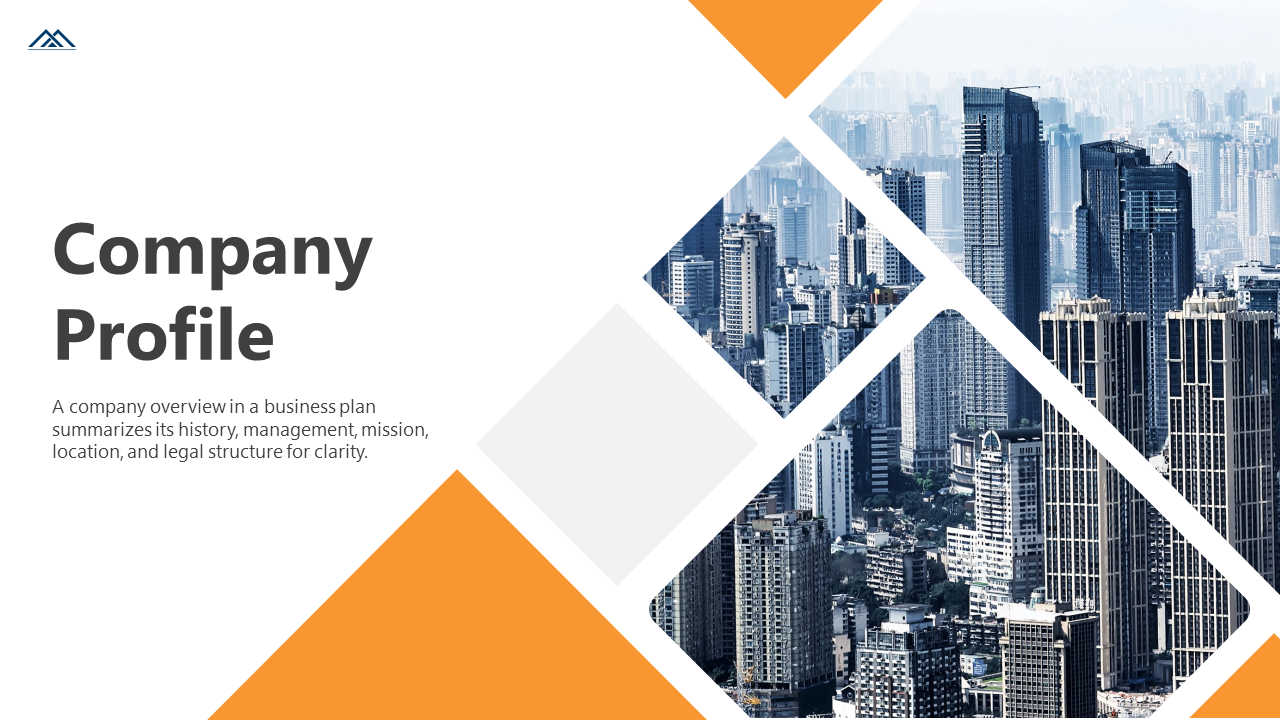 Company Profile slides showcasing an overview including mission, marketing strategies, and financial performance.