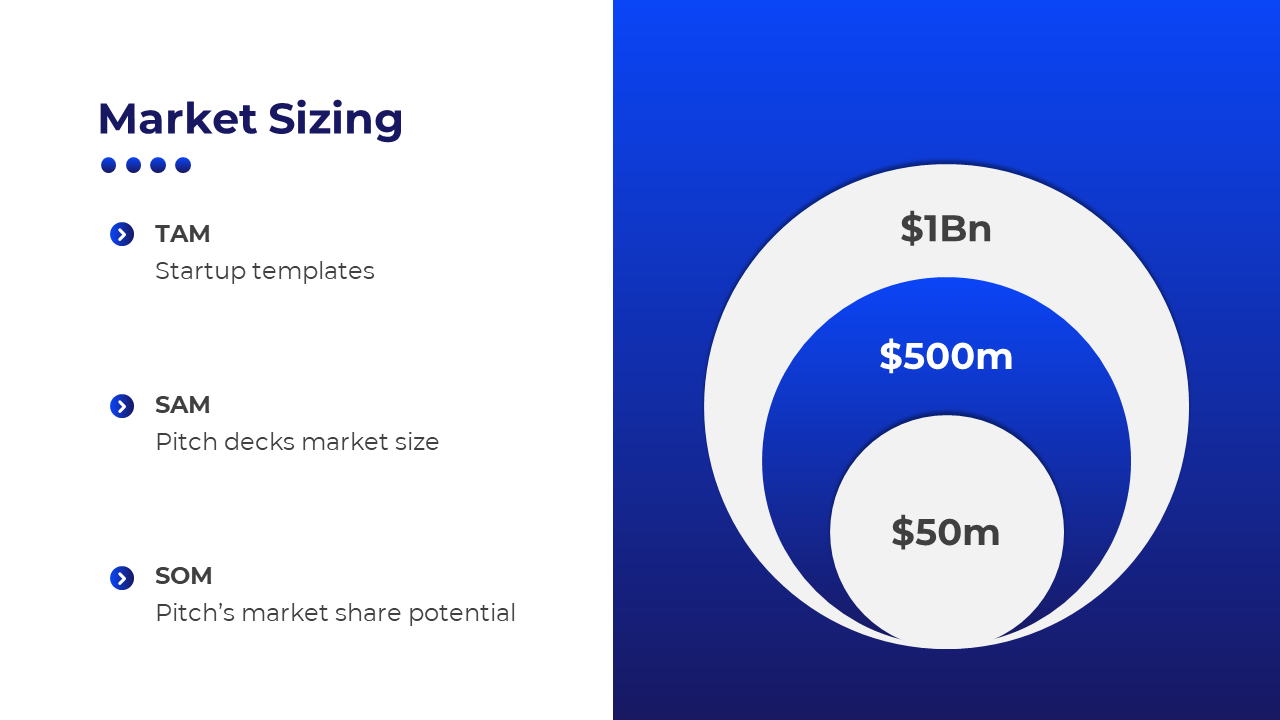 Slide with three nested circles in white and blue, showing market size data, with descriptive text on the left.