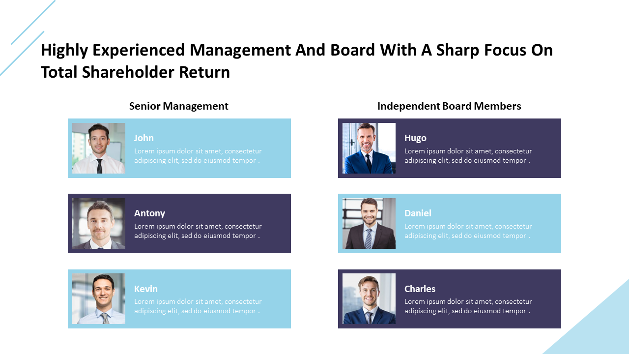 Independent Board Members include Hugo, Daniel, and Charles, with their corresponding placeholder descriptions.