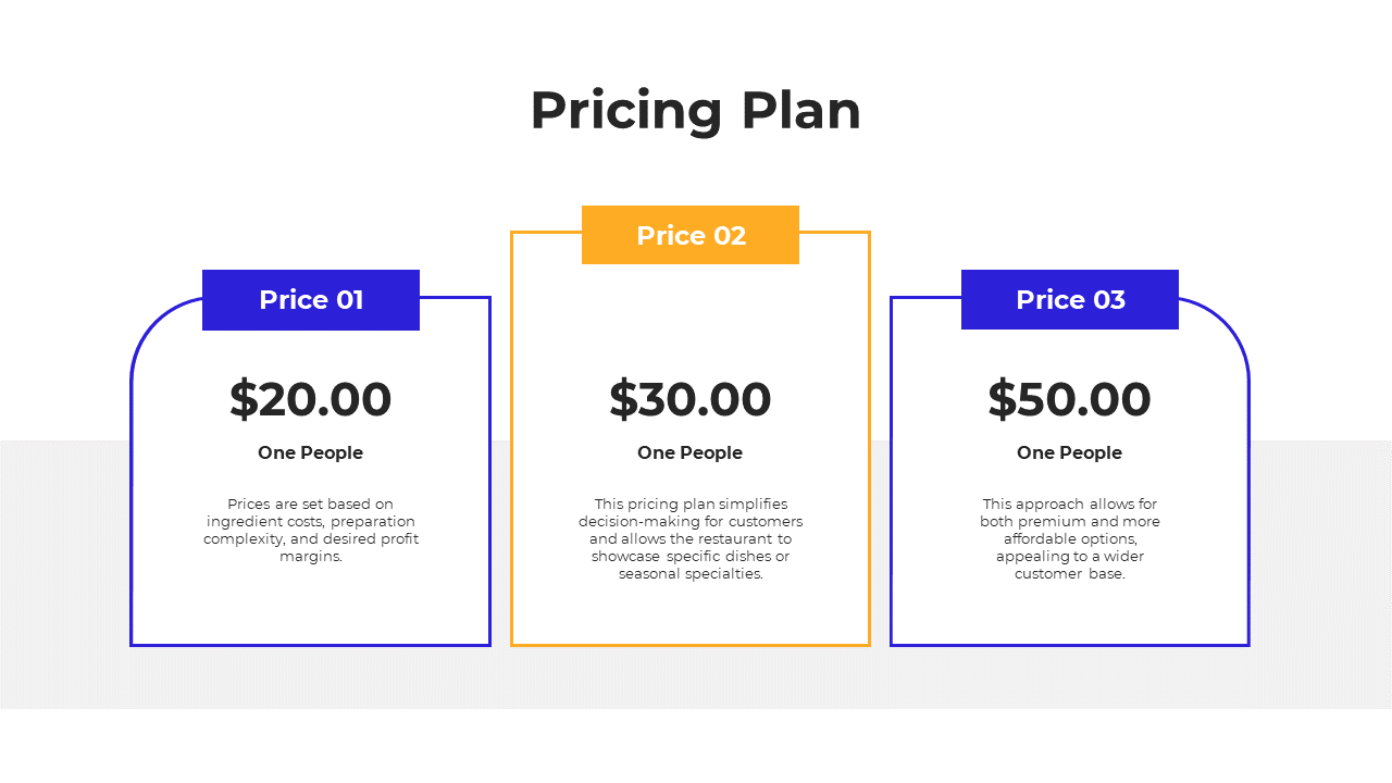 Pricing Plan slide with three options each with a brief description of the pricing structure on a white backdrop.