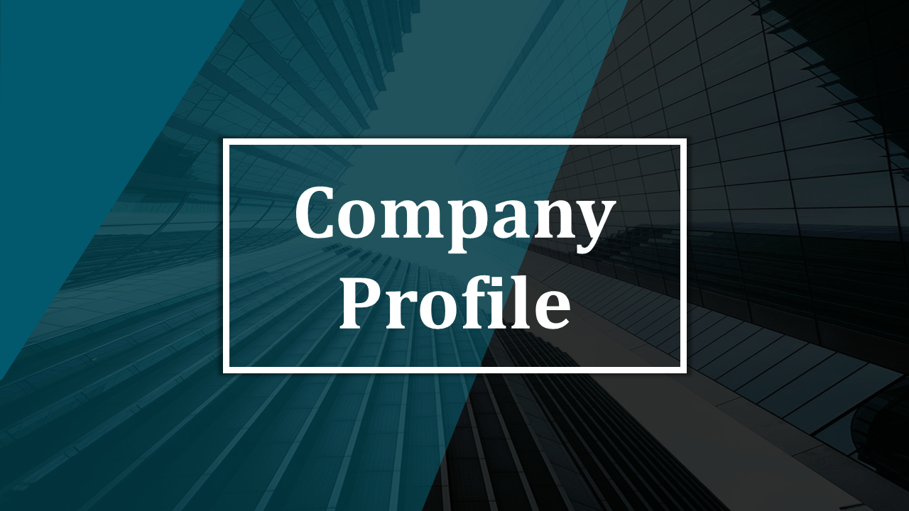 Company profile slide deck with a blue and black theme, including team profiles, charts, and business planning visuals.
