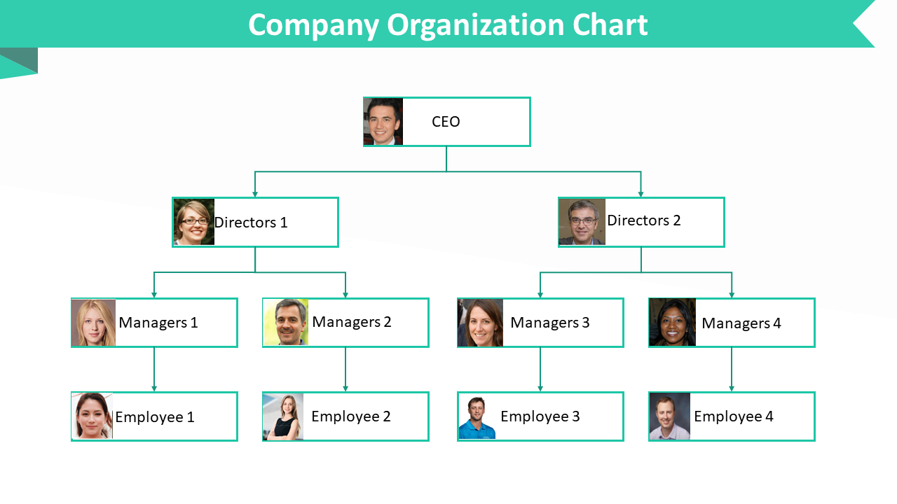 A company organization chart displaying CEO, directors, managers, and employees with corresponding images of team members.