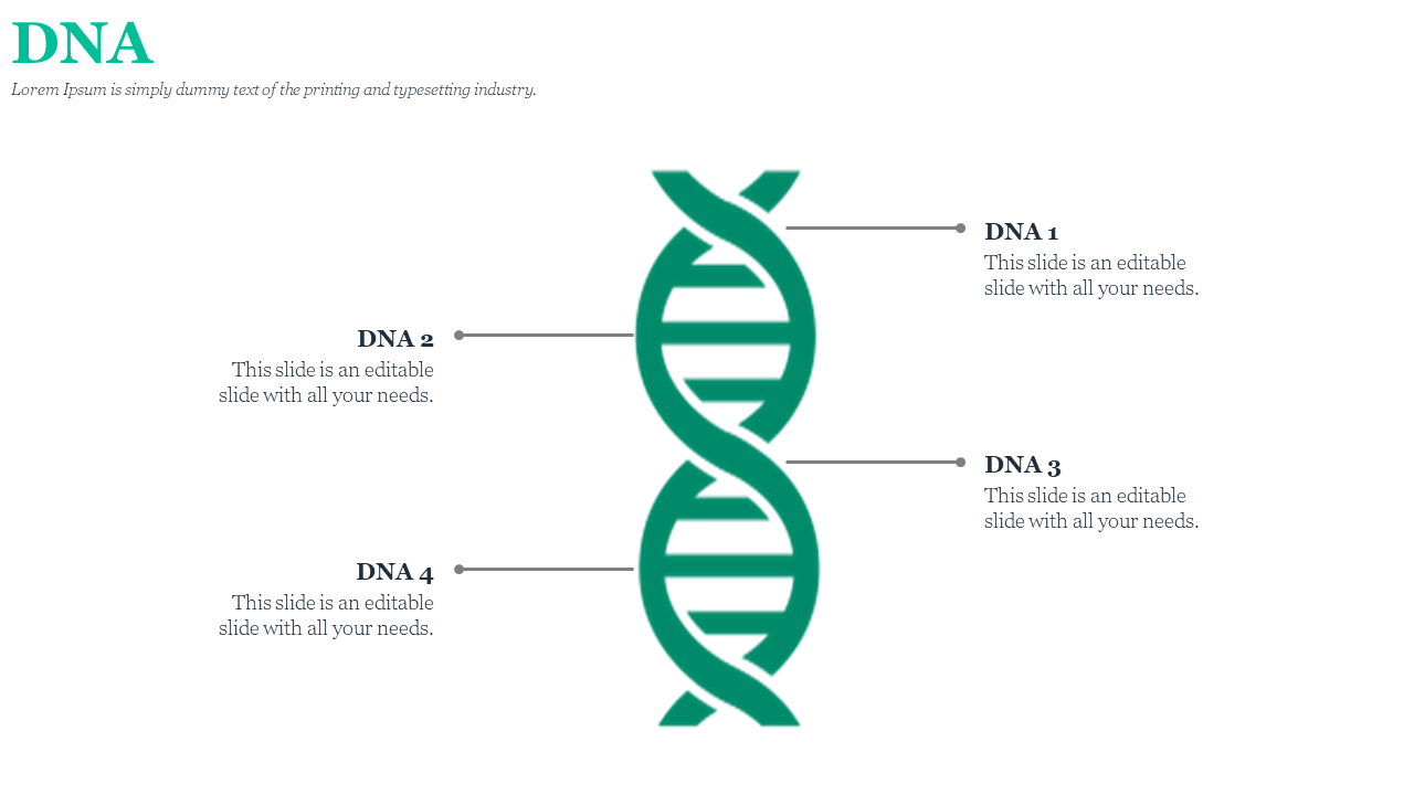 A close up view of a green DNA double helix, labeled with DNA markers for each section on a white backdrop.