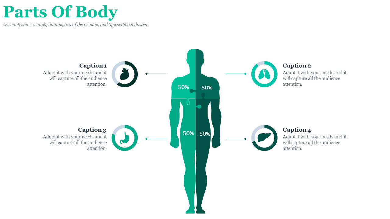Illustration of the green human body with labeled parts heart, lungs, stomach, and liver, each accompanied by a progress bar.