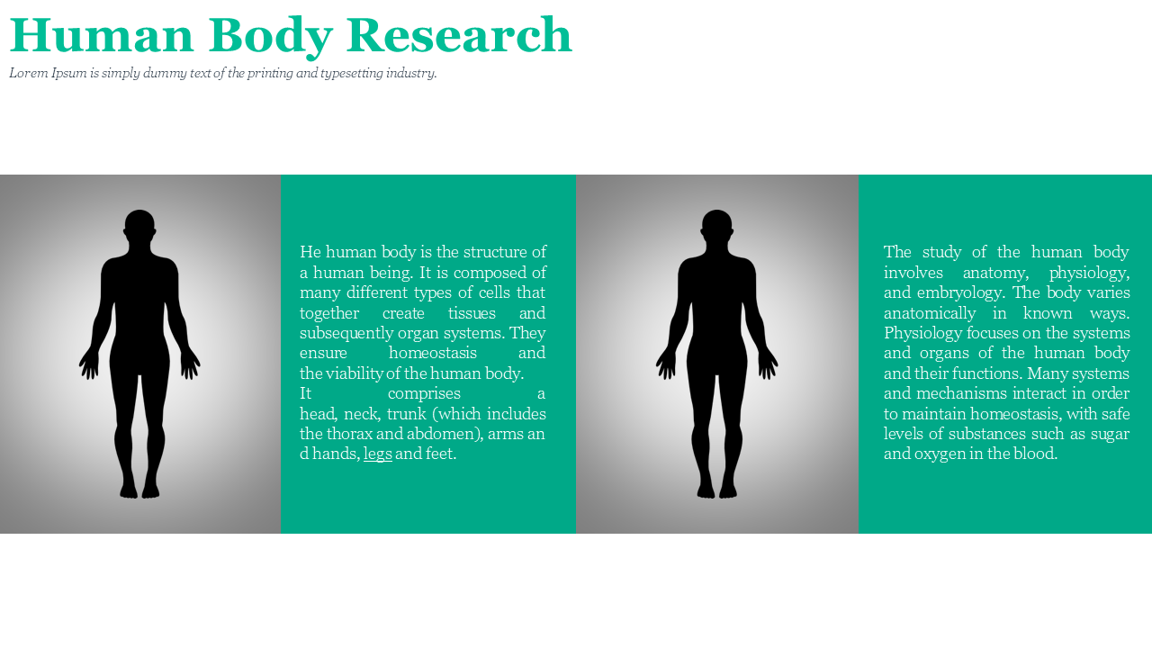 A diagram of the human body, with highlighted silhouettes accompanied by descriptive text on human anatomy in white theme.