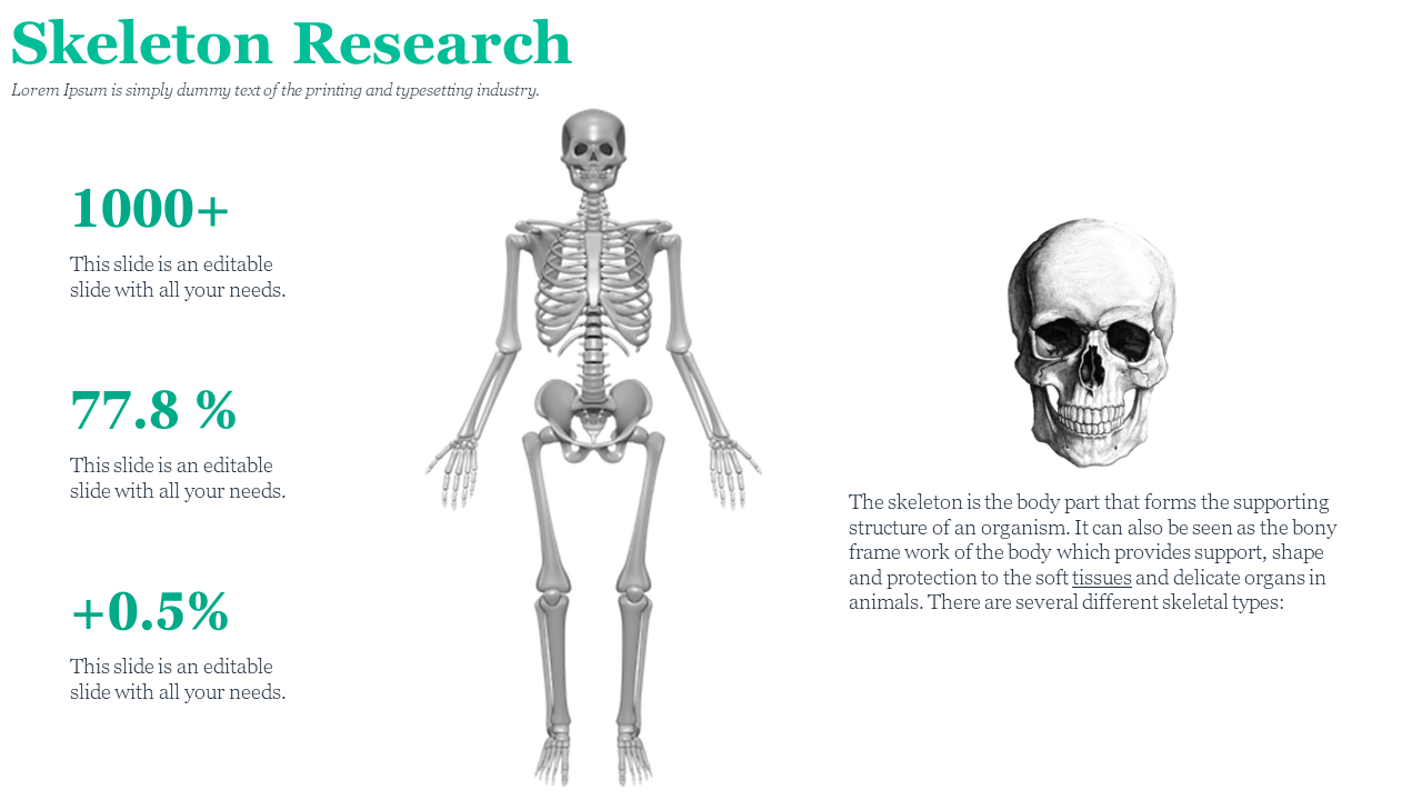 3D illustration of a human skeleton with a detailed focus on the body structure, highlighting bones and skull in white theme.