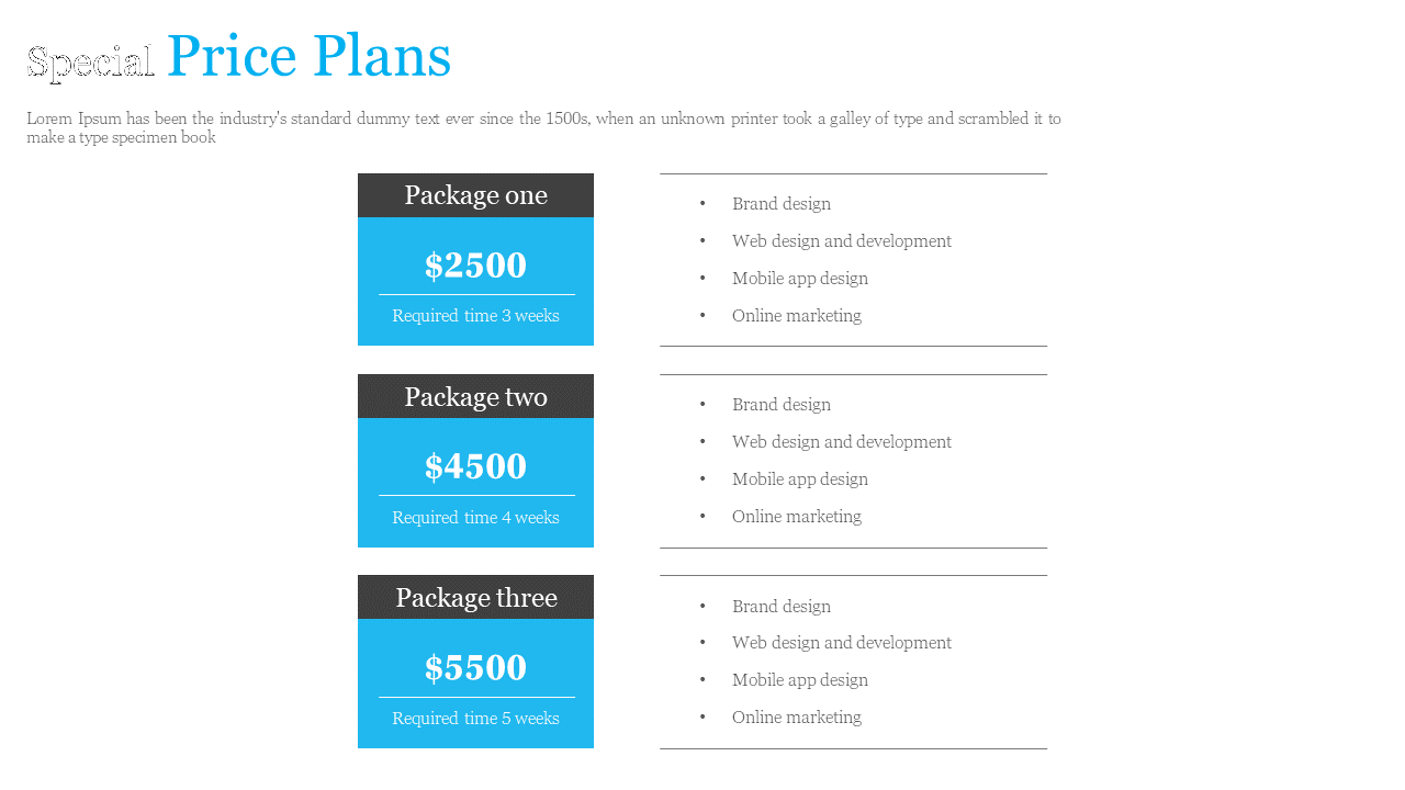 Special pricing plans slide for three packages with varied durations on a blue and white backdrop.