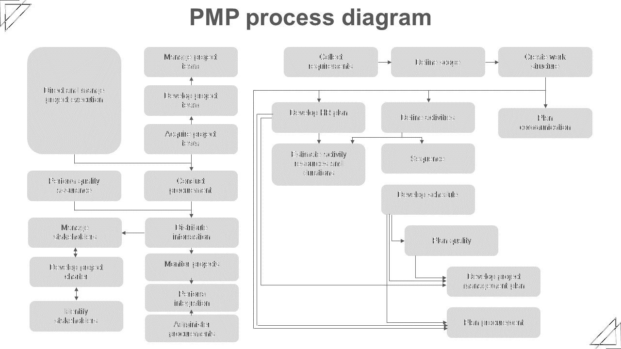 Flowchart layout with gray rounded rectangles showing PMP steps, connected by arrows across two main sections.