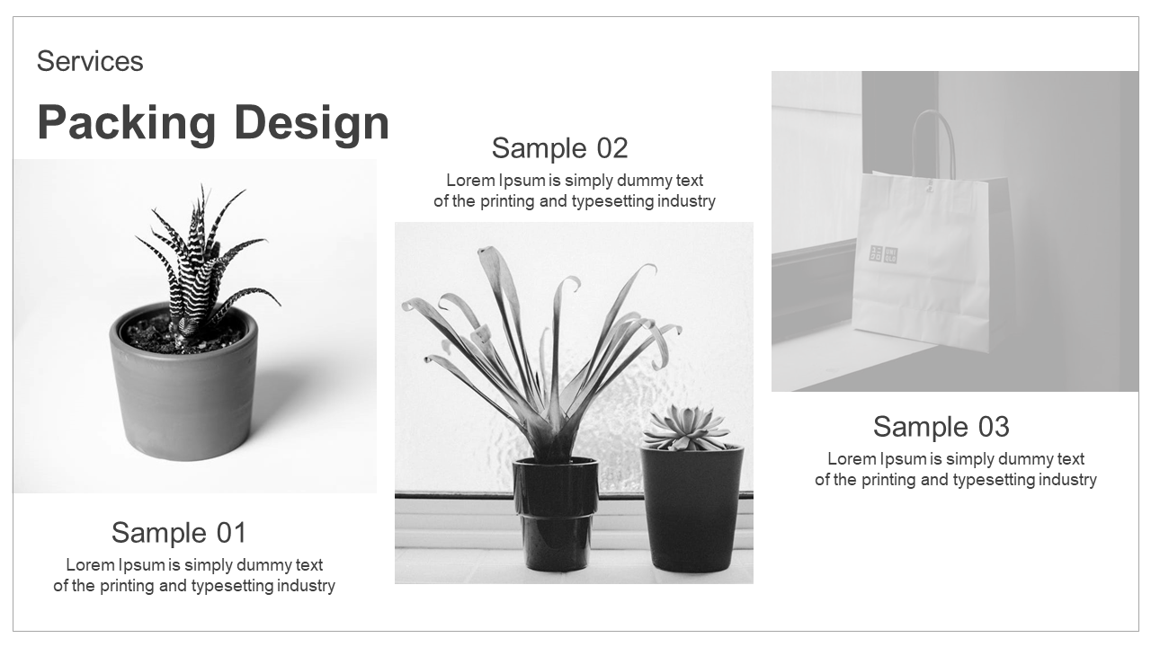 Slide showcasing three black and white images of plants and packaging, with clear text labels beneath.