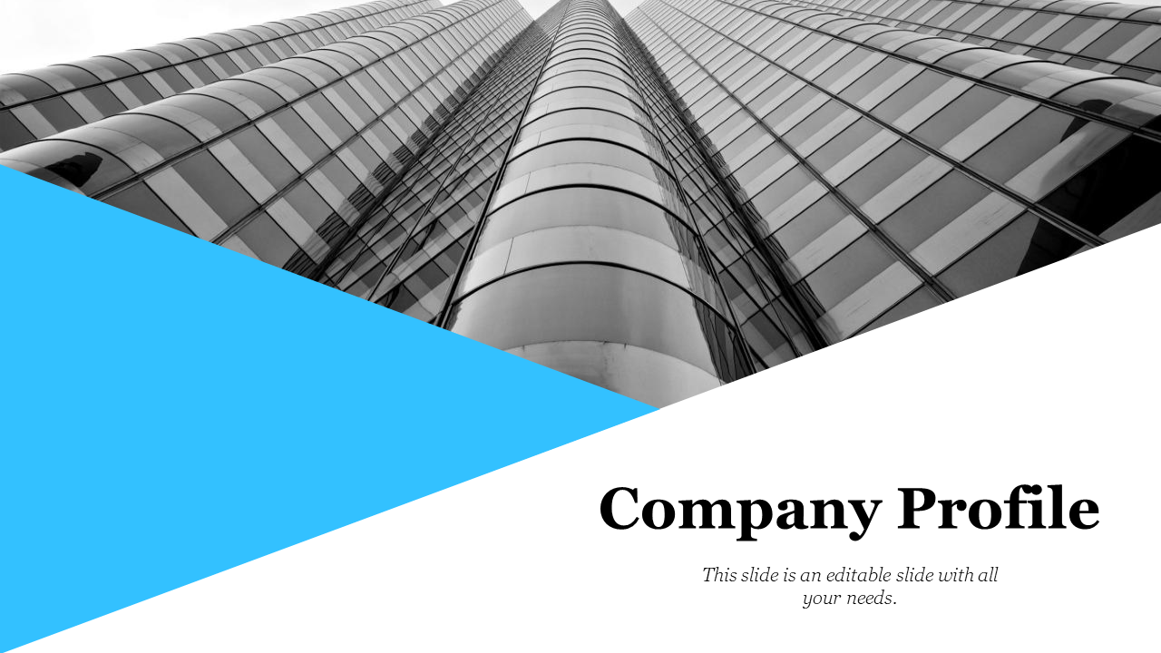 Company profile slide deck with sections on the mission, products, timeline, and bar charts, with a blue and white theme.