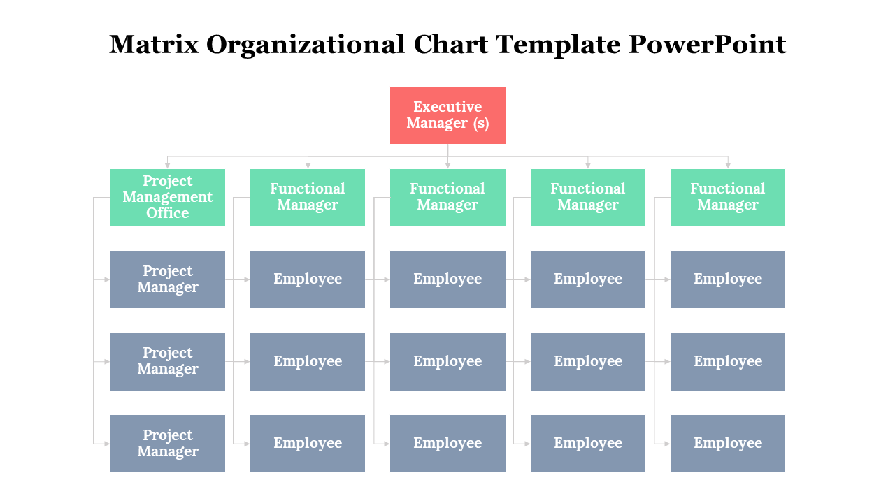 PowerPoint matrix chart showing an executive manager, project management office, functional managers, and employees.