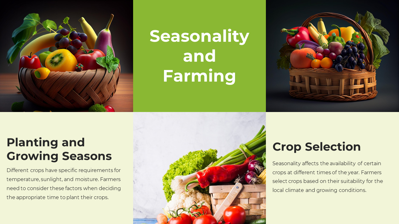 Slide with three photos of fresh vegetables and fruits in baskets, separated by text blocks in light and dark green.