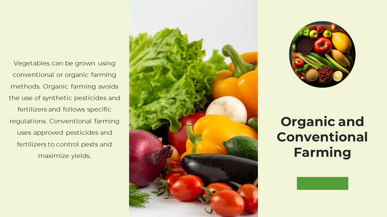 Light green background with a rectangular image of fresh vegetables in the center, and a circular image on the right.