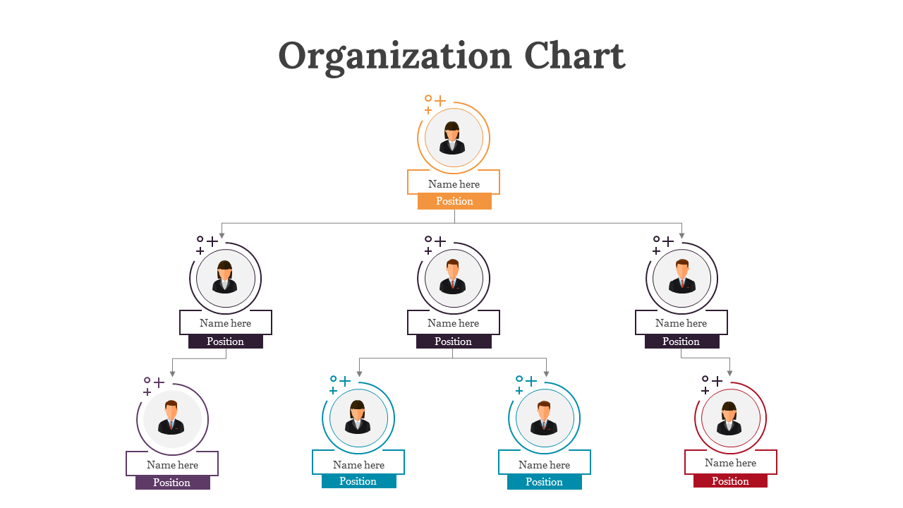 Organizational chart with color coded circular profile sections for team members, displaying names and positions.