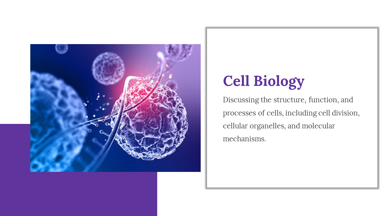 Cell biology slide explains the structure, function, and processes of cells including cell division and molecular mechanisms.