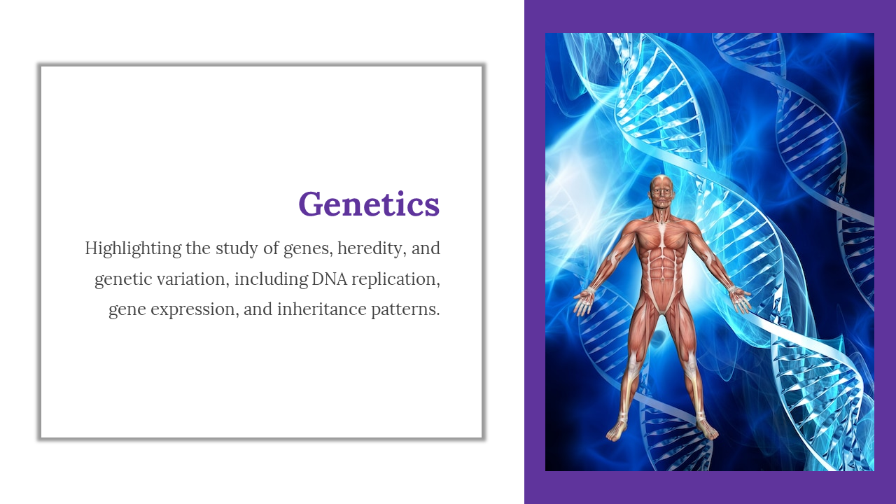 Genetics slide, discussing the study of genes, heredity, and genetic variation with an image of DNA strands and human figure.