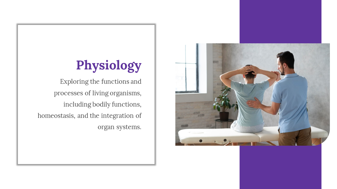 Physiology slide explaining bodily functions, including homeostasis and organ systems integration, with a physiotherapist.