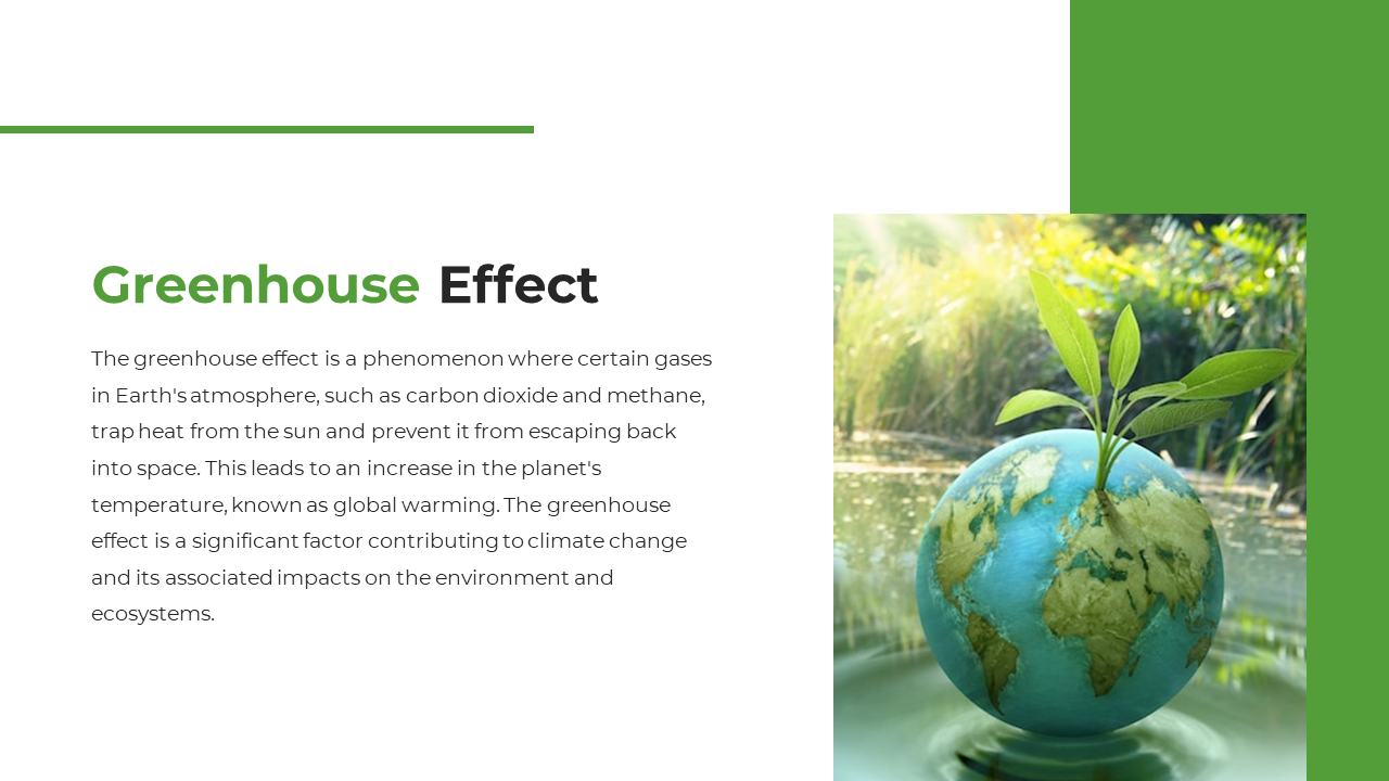 Greenhouse effect presentation slide featuring a globe with growing leaves on a white backdrop with a text description.