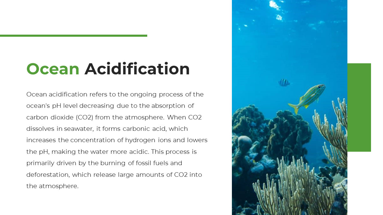 A vibrant underwater scene showing marine life and coral reefs, with the impact of ocean acidification on aquatic ecosystems.