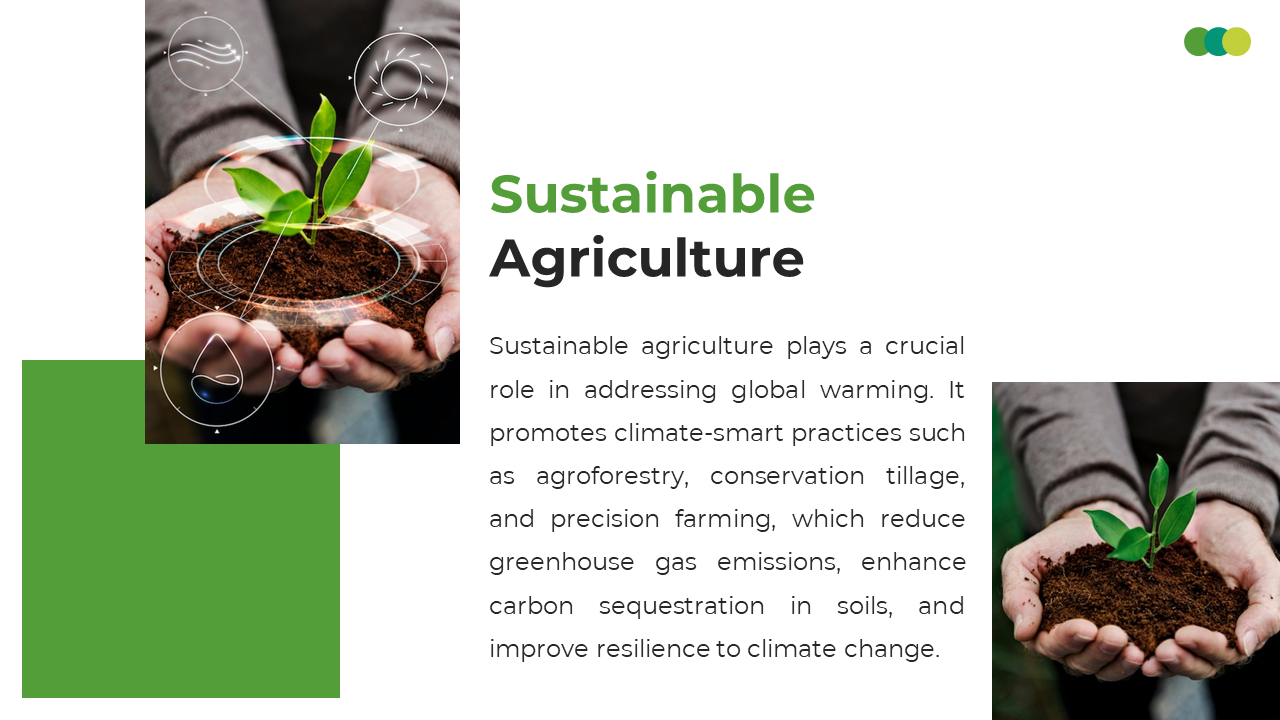 A person holding a young plant in the soil symbolizes sustainable agriculture and climate smart farming practices.