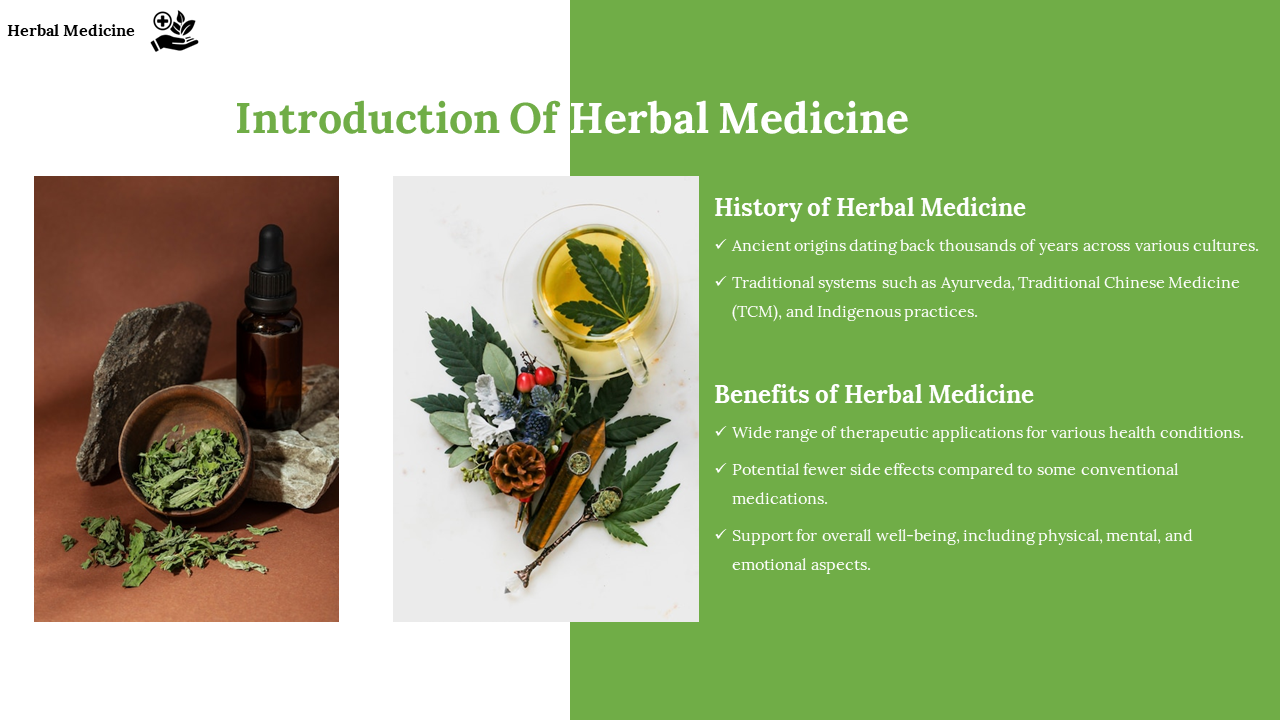 Introduction of herbal medicine with a green background of herbal ingredients and an explanation of its history and benefits.