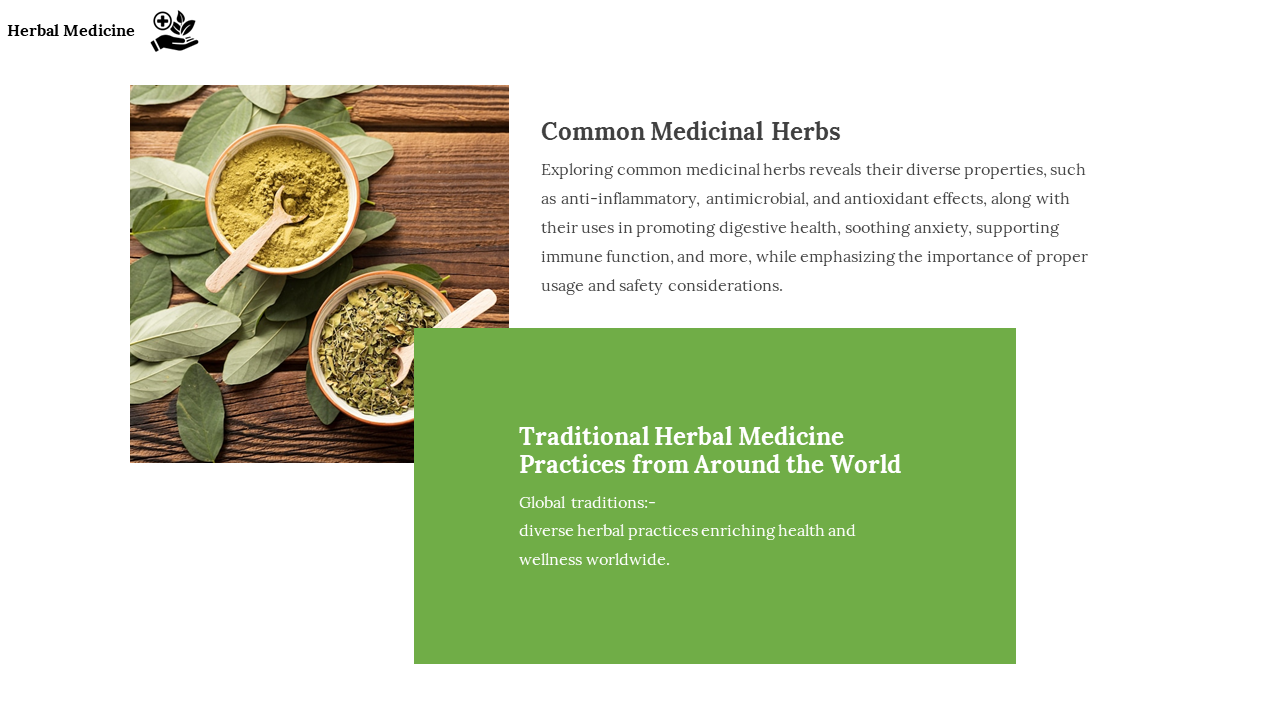 Common Medicinal Herbs slide showcasing herbs and powders with a description of their medicinal properties and practices.