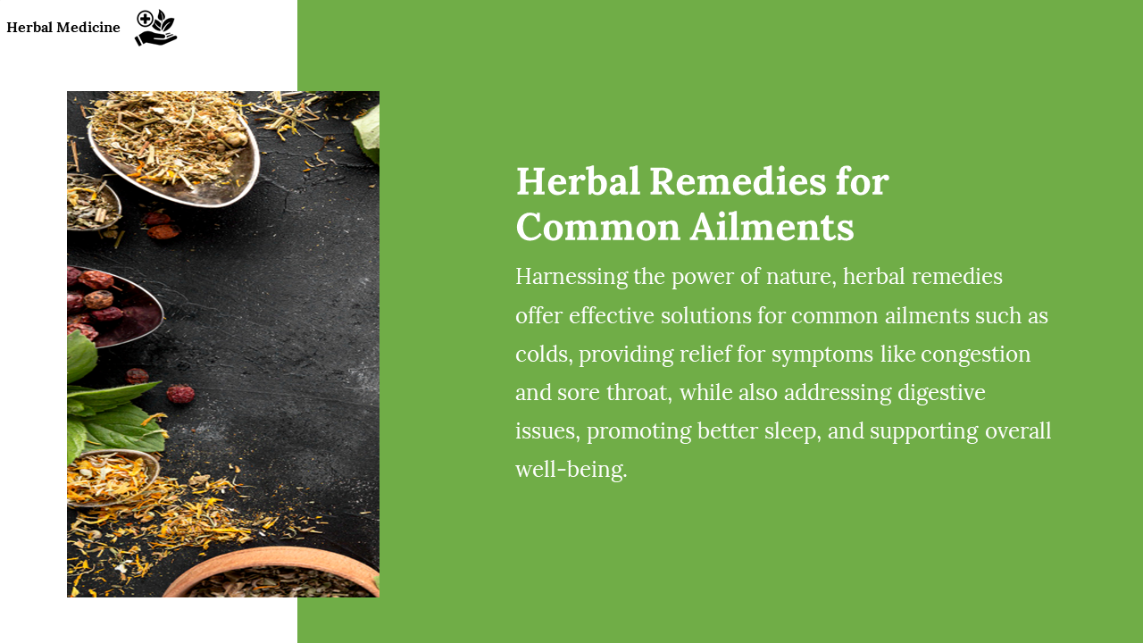 Herbal Remedies for Common Ailments, featuring images of dried herbs used for treating cold and digestive problems.